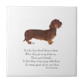 Dachshund Rainbow Bridge Tegeltje (Voorkant)