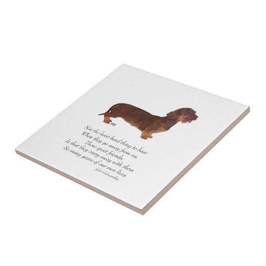 Dachshund Rainbow Bridge Tegeltje (Zijkant)