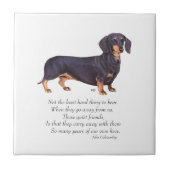 Dachshund Rainbow Bridge Tegeltje (Voorkant)