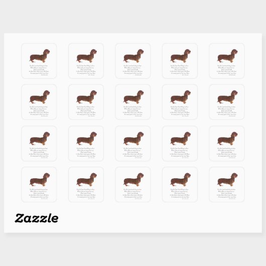 Dachshund Rainbow Bridge Vierkante Sticker (Vel)