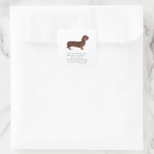 Dachshund Rainbow Bridge Vierkante Sticker (Tas)