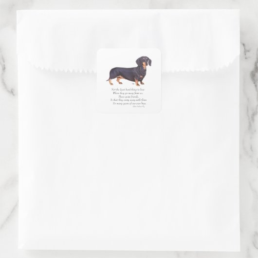 Dachshund Rainbow Bridge Vierkante Sticker (Tas)