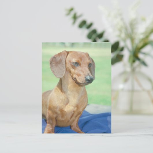 Dachshund Red Briefkaart (Staand voorkant)