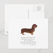 Dachshund Regenboogbrug Briefkaart (Voorkant / Achterkant)