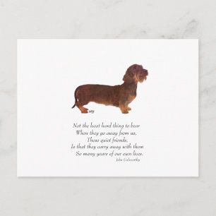 Dachshund Regenboogbrug Briefkaart