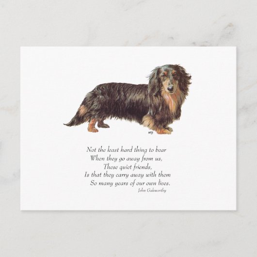 Dachshund Regenboogbrug Briefkaart (Voorkant)