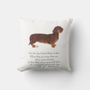 Dachshund Regenboogbrug Kussen