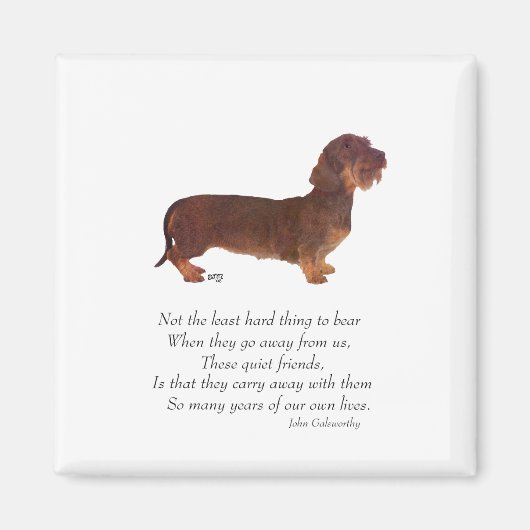 Dachshund Regenboogbrug Magneet (Voorkant)