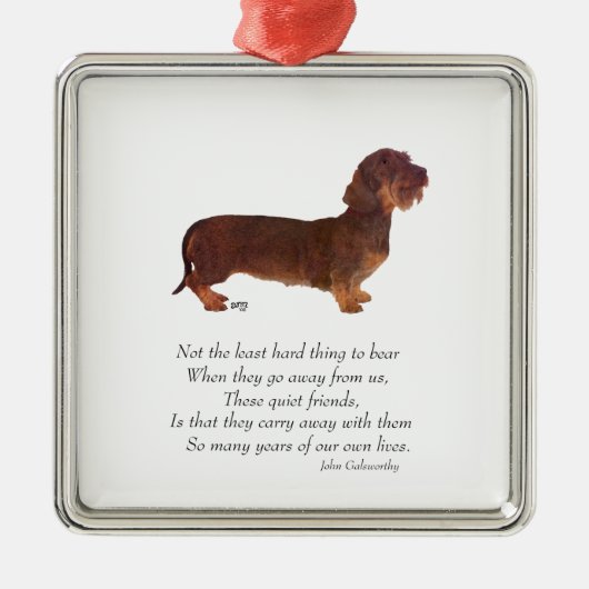 Dachshund Regenboogbrug Metalen Ornament (Voorkant)