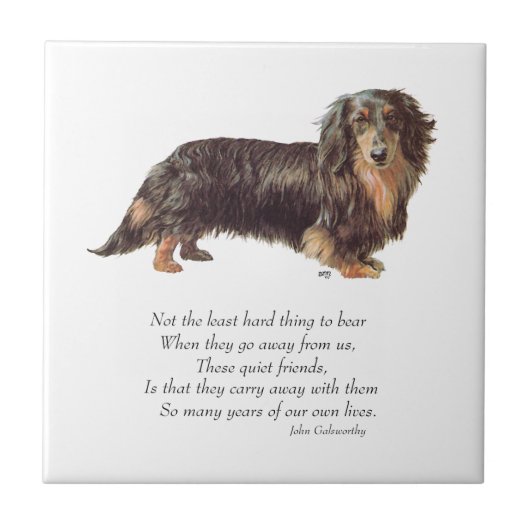 Dachshund Regenboogbrug Tegeltje (Voorkant)