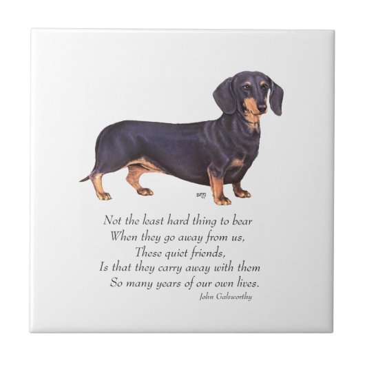 Dachshund Regenboogbrug Tegeltje (Voorkant)