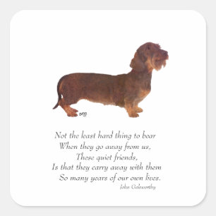Dachshund Regenboogbrug Vierkante Sticker