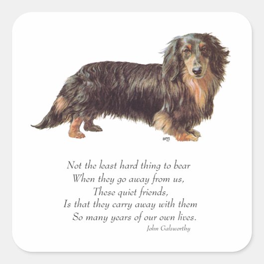 Dachshund Regenboogbrug Vierkante Sticker (Voorkant)
