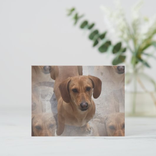 Dachshund Rescue Briefkaart (Staand voorkant)