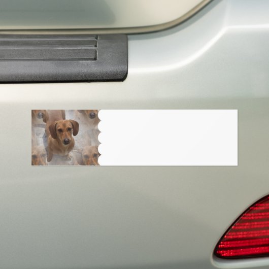 Dachshund Rescue Bumperstickers (Op auto)
