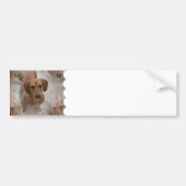Dachshund Rescue Bumperstickers (Voorkant)