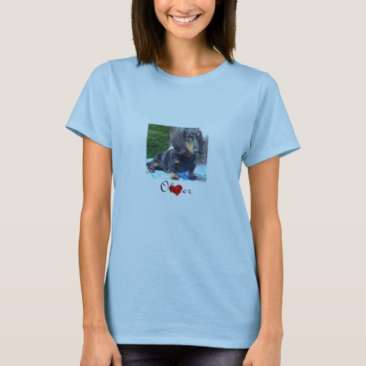 Dachshund Rescue - Landschapsvrouwen T-shirt (Voorkant)