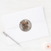 Dachshund Rescue Stickers (Envelop)
