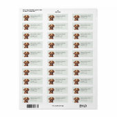 Dachshund retouradreslabels etiket (Full Sheet)