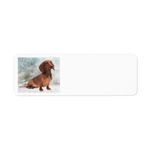 Dachshund Return Address Label (Voorkant)
