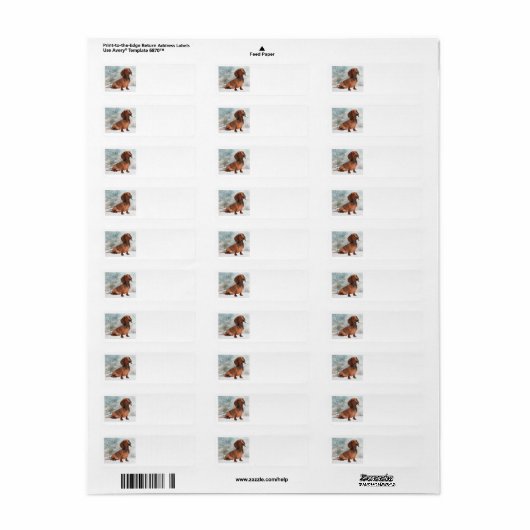 Dachshund Return Address Label (Full Sheet)