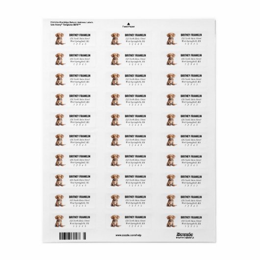 Dachshund Return Address Labels (Full Sheet)