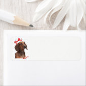 Dachshund Return Address Labels (Insitu)