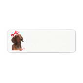 Dachshund Return Address Labels (Voorkant)