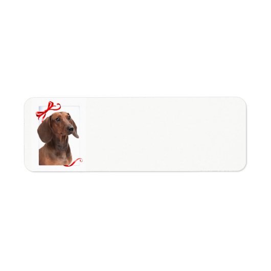 Dachshund Return Address Labels (Voorkant)