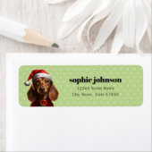 Dachshund Return Address Labels (Insitu)