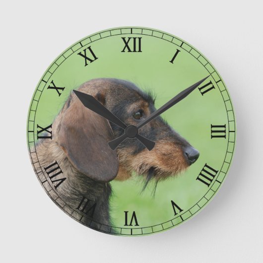 Dachshund Ronde Klok (Voorkant)