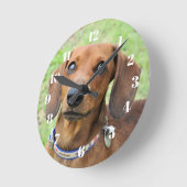 Dachshund Ronde Klok (Hoek)