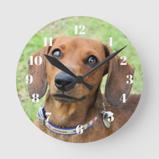 Dachshund Ronde Klok (Voorkant)