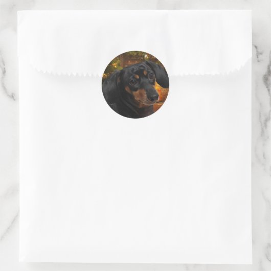 Dachshund Ronde Sticker (Tas)