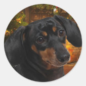 Dachshund Ronde Sticker (Voorkant)