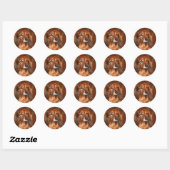 Dachshund Ronde Sticker (Vel)