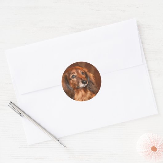 Dachshund Ronde Sticker (Envelop)
