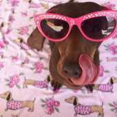 Dachshund roze bloemendeken Wiener hondenliefde Fleece Deken