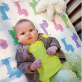 Dachshund Roze Paarse Blauwe Groene Pastels Deken