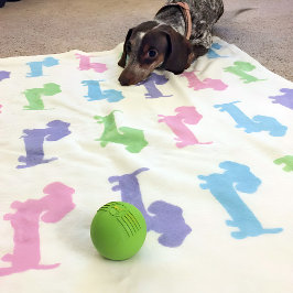 Dachshund Roze Paarse Blauwe Groene Pastels Deken