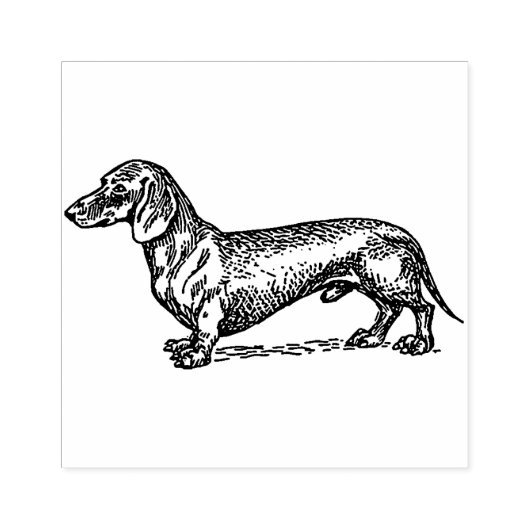 Dachshund Rubberstempel (Afrduk)
