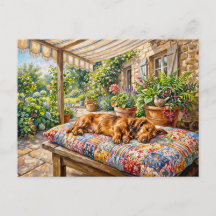 Dachshund rustend op een tuinbank met patchwork