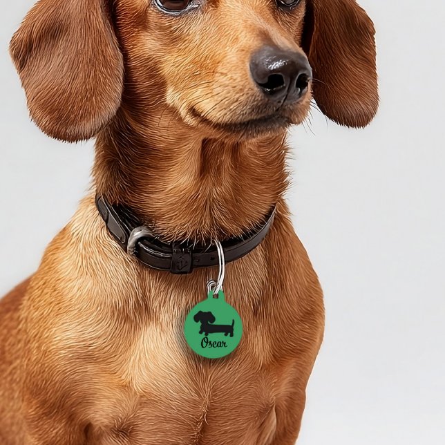Dachshund Safety Labels Wiener Dog Label op maat Huisdierpenning (wiener dog puppy gift - dog ID tags for safety Green - lots of color options)