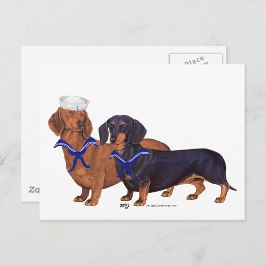 Dachshund Sailors Briefkaart (Voorkant / Achterkant)