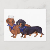 Dachshund Sailors Briefkaart (Voorkant)