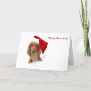 dachshund santa feestdagen kaart