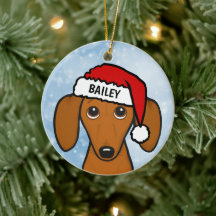 Dachshund Santa Hat Leuke Wiener Hond Aangepaste N