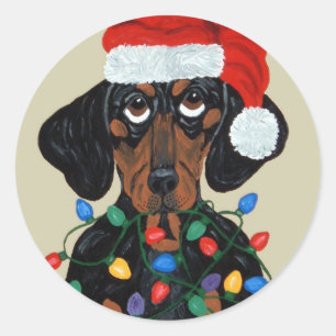 Dachshund Santa Tangled In Kerstmis Lichten Ronde Sticker