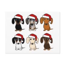 Dachshund Santas Kerstmis Huisdier Hond Vakantie A