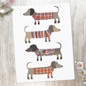Dachshund Sause Dog Briefkaart